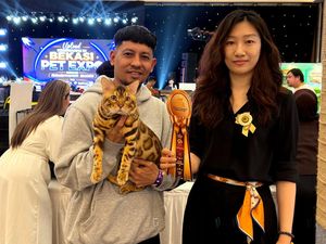 Praga, Kucing Bengal Milik Causar Prasistia Sabet Juara International Cat Show