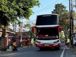 Busmania Soal Viral Klakson Bus Suara Jokowi Saya Akan Lawan: Editan!
