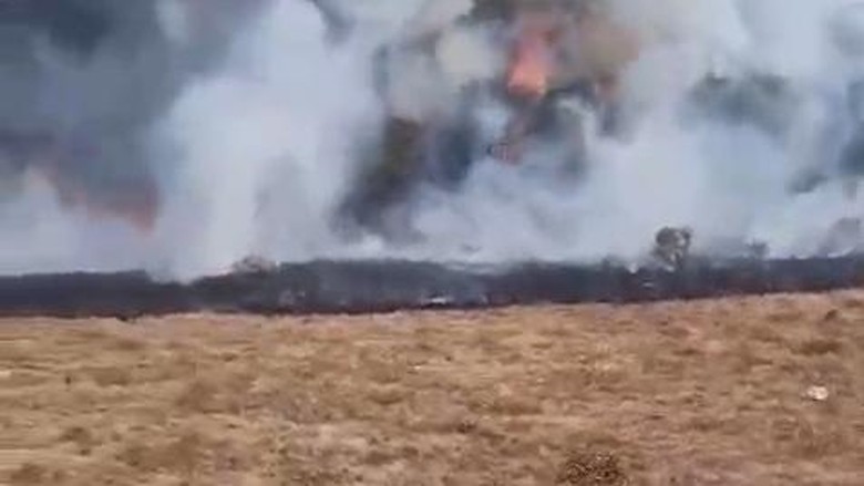 2,28 Juta Hektare Hutan dan Lahan di Jabar Masuk Zona Rawan Kebakaran