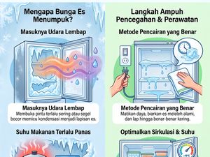 Infografis: 4 Biang Kerok Bunga Es Numpuk di Freezer dan Cara Cegahnya