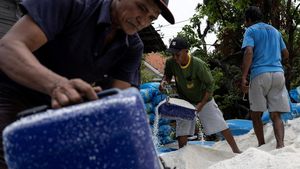 Kemarau Panjang Dongkrak Panen Garam Petani Cirebon
