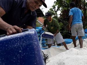 Kemarau Panjang Dongkrak Panen Garam Petani Cirebon