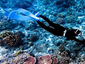 Freedivers Tarakan, Para Penjelajah Bawah Laut Kalimantan Utara