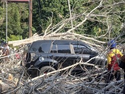 Pohon Tumbang Timpa Mobil di Jalan Poros Enrekang-Toraja hingga Ringsek
