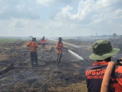 Pemprov Riau Kolaborasi Bareng TNI-Polri Tangani Karhutla di Musim Kemarau