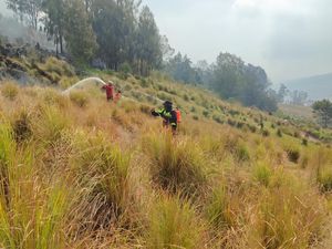 Water Bombing Padamkan Kebakaran Bromo Tertunda