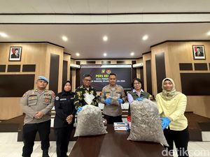 Polisi Bongkar Gudang Sisik Trenggiling di Pontianak, Sita 551 Kg Barang Bukti