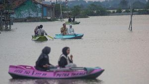 Potret Sawah Terendam Rob Disulap Menjadi Wisata Kano