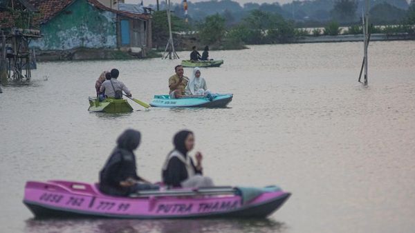 Potret Sawah Terendam Rob Disulap Menjadi Wisata Kano
