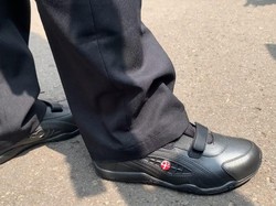 BRIN Bawa Sepatu Buatan Sendiri Saat Temui Prabowo, Mau Diproduksi Massal