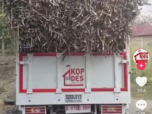 Pengemudi Truk KDMP di Sragen Angkut Tebu hingga Overload Tak Izin Kades