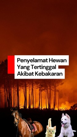 Video: Berjibaku Selamatkan Hewan Tertinggal Akibat Kebakaran Hutan Prancis