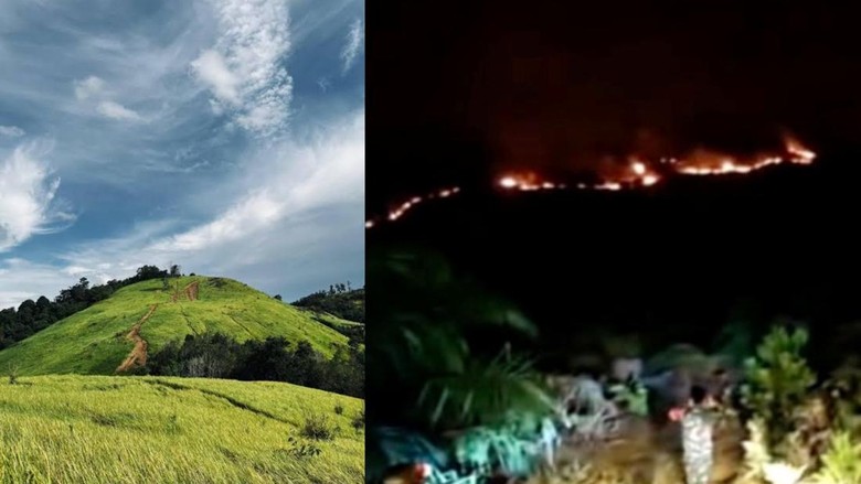 Habis Bukit Kuri Hangus, Giliran Bukit Lalang Panjang Ketapang Terbakar