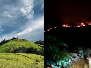 Habis Bukit Kuri Hangus, Giliran Bukit Lalang Panjang Ketapang Terbakar