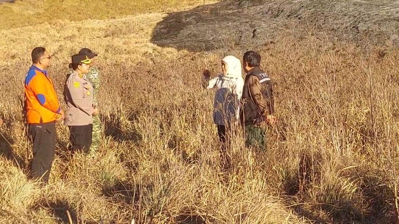 Fakta-fakta Kebakaran Bromo Makin Meluas hingga 176 Hektare