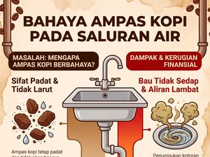 Infografis: Awas! Ini Bahaya Buang Ampas Kopi ke Wastafel