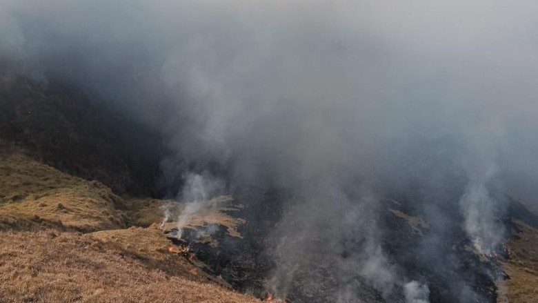 Kebakaran Bromo Capai 120 Hektare, Pemadaman Tunggu Heli Water Bombing