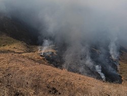 Kebakaran Bromo Capai 120 Hektare, Pemadaman Tunggu Heli Water Bombing