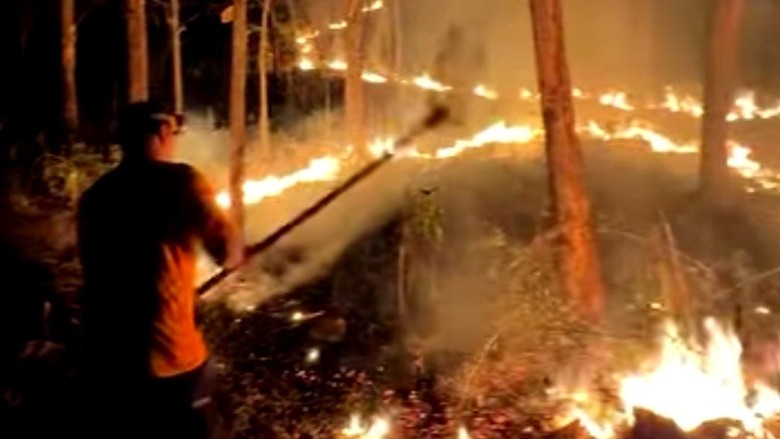 1,5 Hektare Hutan dan Lahan Warga di Trenggalek Terbakar