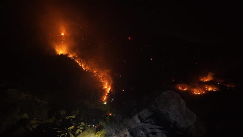 Karhutla Diduga Dipicu Puntung Rokok di Banggai Hanguskan 100 Hektare Lahan