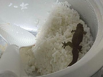 Jijik Banget! Ada Kuku hingga Silet di dalam Makanan Zonk Ini