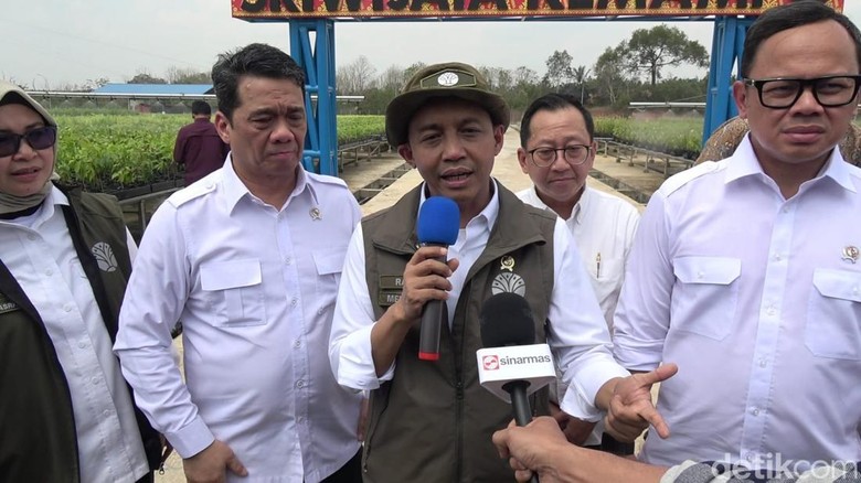 Karhutla Sumsel Jadi Prioritas, Menhut: Jika Ada Perusahaan Nakal, Tindak!