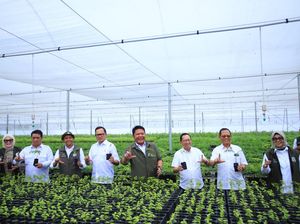 Herman Deru Dorong Penguatan Sinergi untuk Jaga Kelestarian Hutan Sumsel