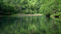 7 Lokasi Paling Angker di Kyoto, Bikin Merinding