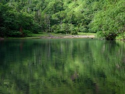 7 Lokasi Paling Angker di Kyoto, Bikin Merinding