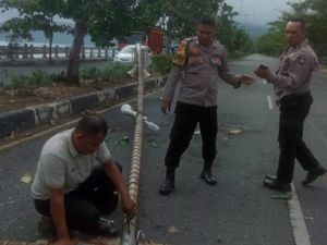 Diterjang Angin Kencang, Tiang Lampu-CCTV di Banda Aceh Tumbang