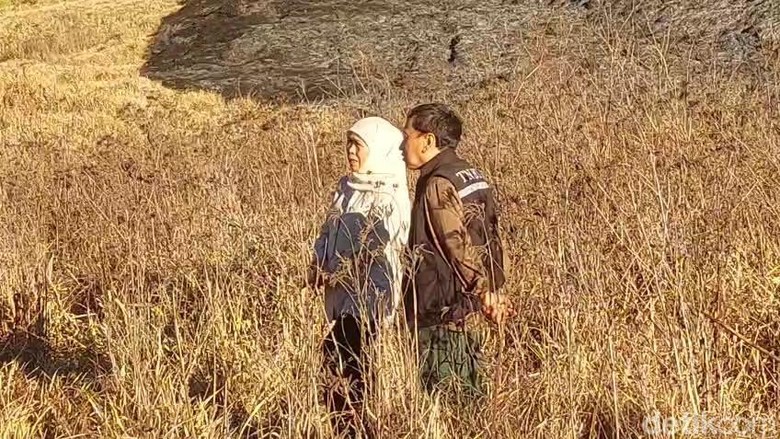 Gubernur Khofifah Beber Kendala Pemadaman 176 Hektare Kebakaran Bromo