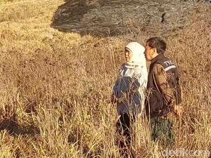 Gubernur Khofifah Beber Kendala Pemadaman 176 Hektare Kebakaran Bromo