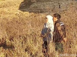 Gubernur Khofifah Beber Kendala Pemadaman 176 Hektare Kebakaran Bromo