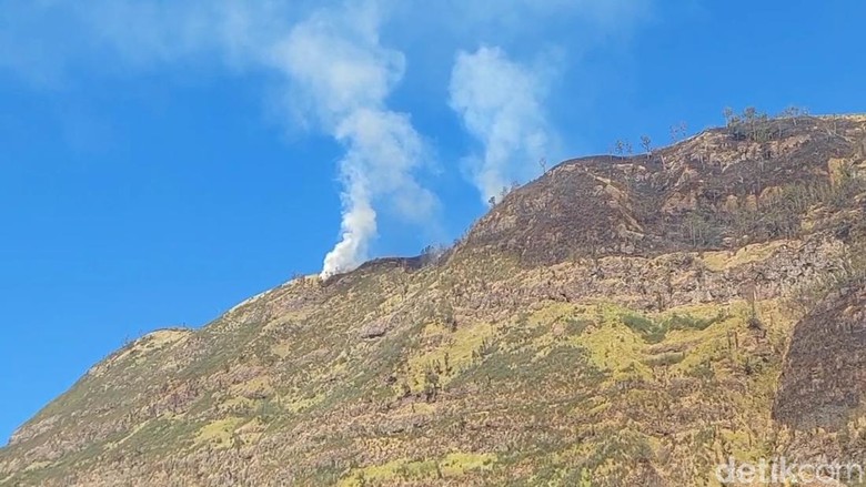 TNBTS Tunggu Api Kebakaran Bromo Padam Sebelum Mulai Investigasi