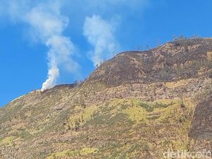 TNBTS Tunggu Api Kebakaran Bromo Padam Sebelum Mulai Investigasi