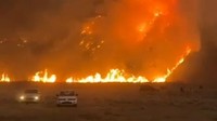 Kebakaran Bromo Mulai Ancam Penanjakan Tosari Pasuruan