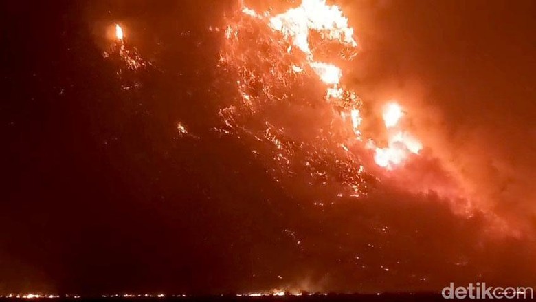 Wisata Bromo Ditutup Total Buntut Kebarakan Hutan Terus Meluas
