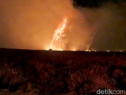 Kebakaran di Bromo Hanguskan 520 Hektare Lahan