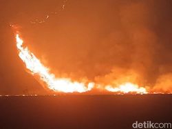Dalam Sehari, Lahan Seluas 250 Hektare di Bromo Hangus Terbakar
