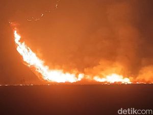 Kebakaran Bromo Makin Meluas, Api Mulai Merambah ke Savana