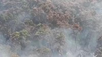 Relawan Berjibaku Padamkan Api di Kawah Wadon Gede Pangrango