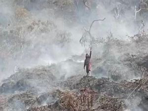 Relawan Berjibaku Padamkan Api di Kawah Wadon Gede Pangrango