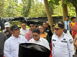Mentan Dorong Kakao hingga Jambu Mete Bisa Kikis Kemiskinan di Alor