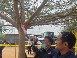 Kronologi Anak 10 Tahun di Lampung Utara Tewas Tergantung Tali Ayunan
