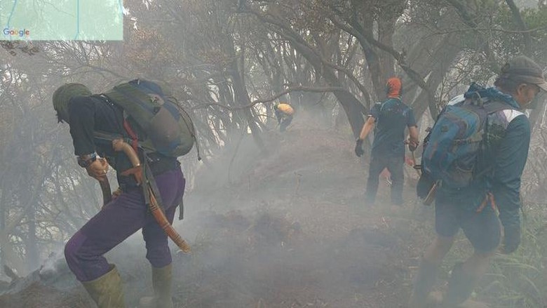 Kebakaran Gunung Gede Dipadamkan, Pendakian Ditutup Sementara