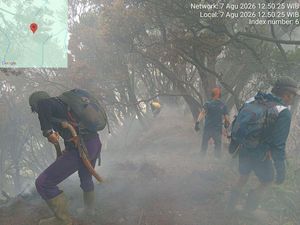 Kebakaran Gunung Gede Dipadamkan, Pendakian Ditutup Sementara