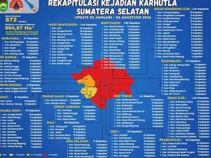 Puncak Musim Kemarau, Status Zona Merah Karhutla Sumsel Jadi 11 Daerah