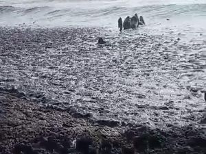 Duh! Sungai di Pati Bau Busuk-Menghitam Diduga Tercemar Limbah