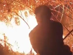 Kebakaran Kembali Terjadi di Gunung Rinjani