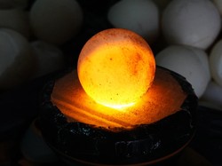 1.286 Telur Penyu Tak Bertuan Diperiksa, Ada yang Masih Berpeluang Menetas